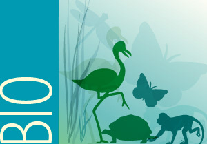 UNDP Icon Biodiversity