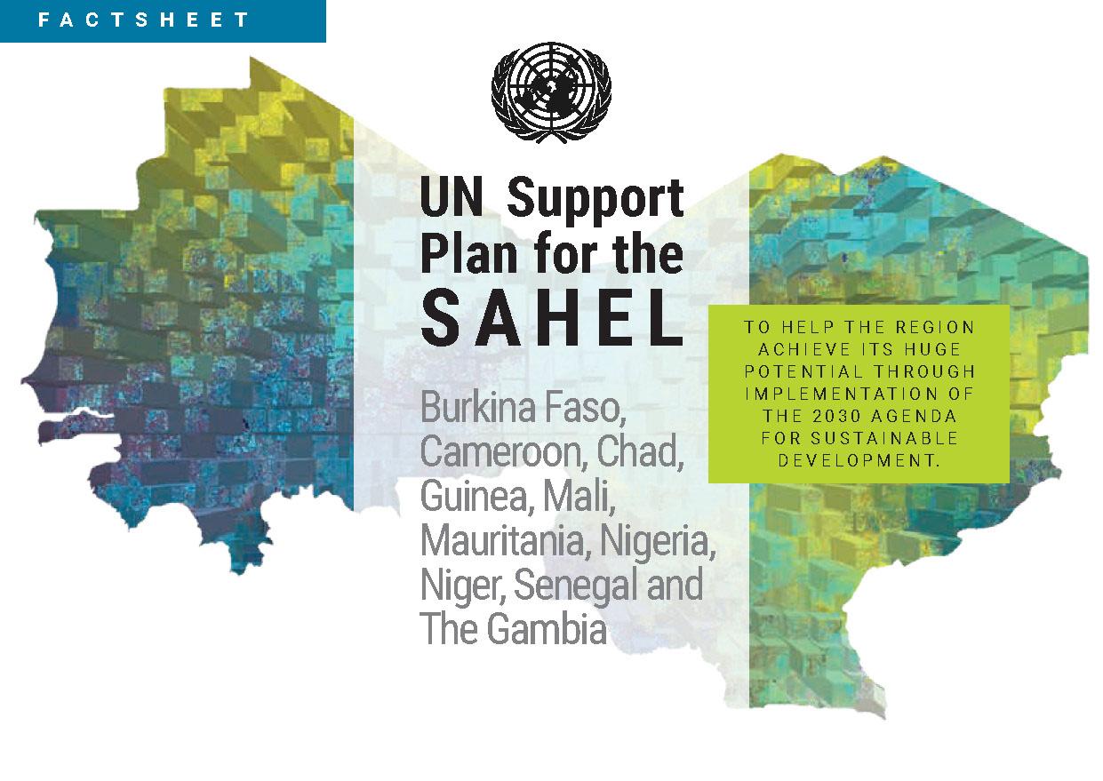 UNDP Factsheet