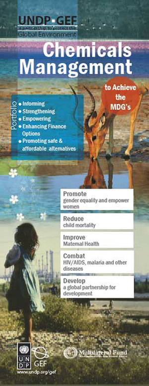 UNDP Banner Communications