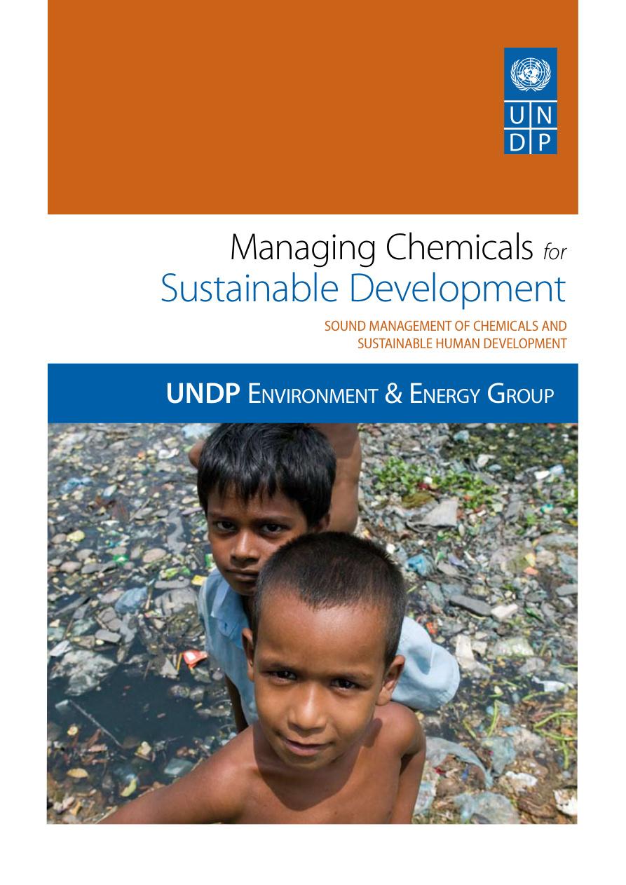 Managing Chemicals for Sustainable Development (UNDP)